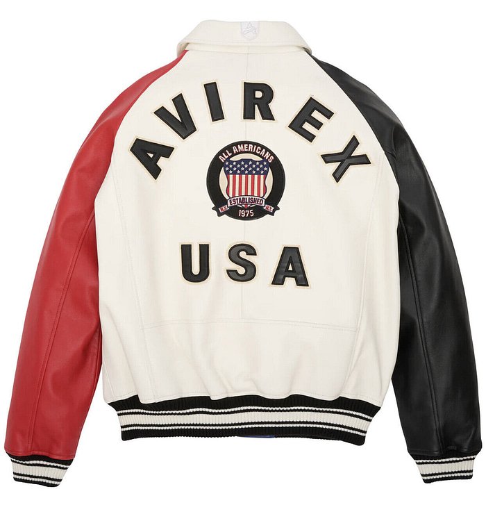 Avirex Block Color Icon Leather Jacket